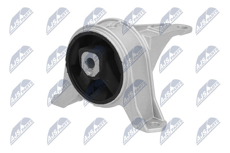 Paigutus, Mootor, NTY ZPS-PL-001