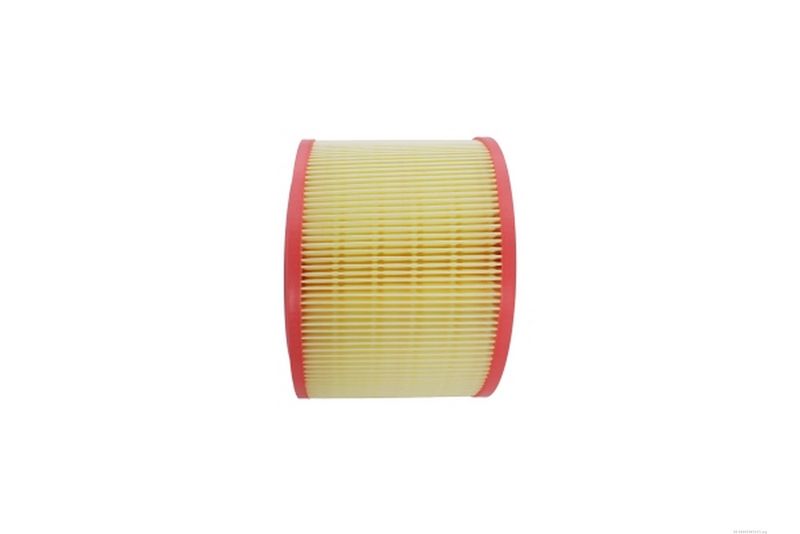 AUTOMEGA 180029810 Air Filter