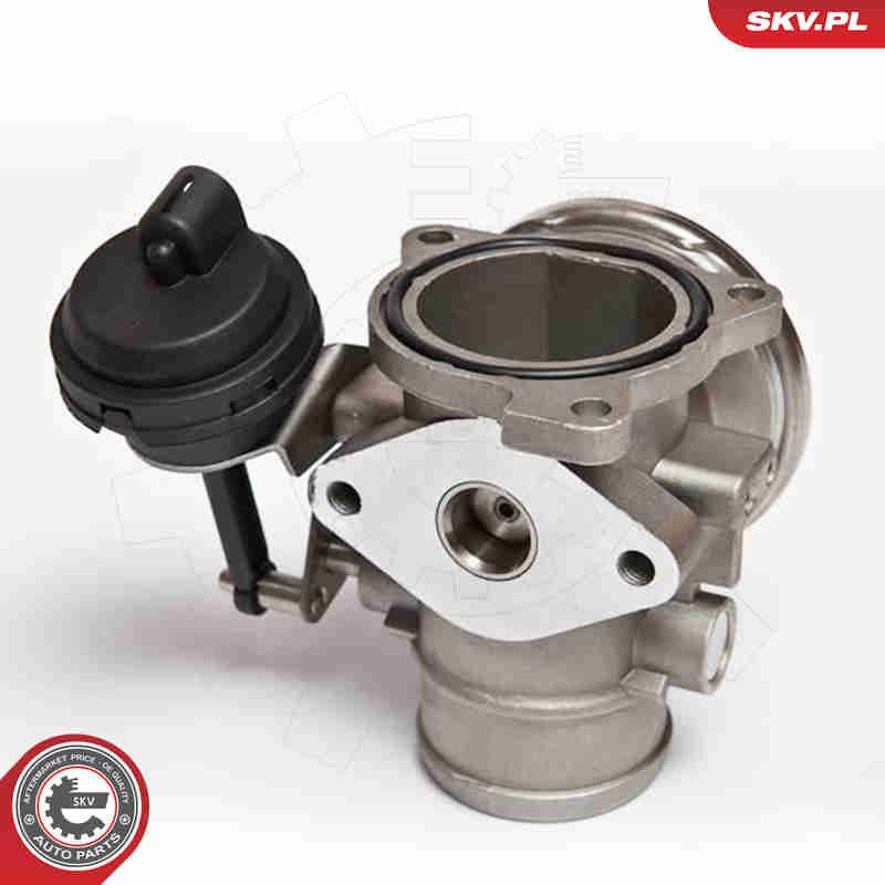 ESEN SKV 14SKV026 EGR Valve