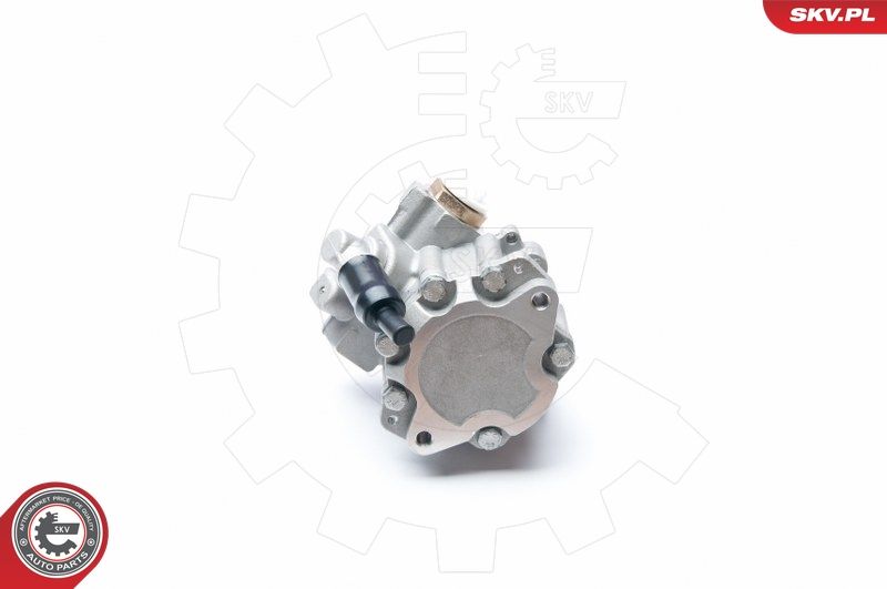 ESEN SKV 10SKV217 Hydraulic Pump, steering