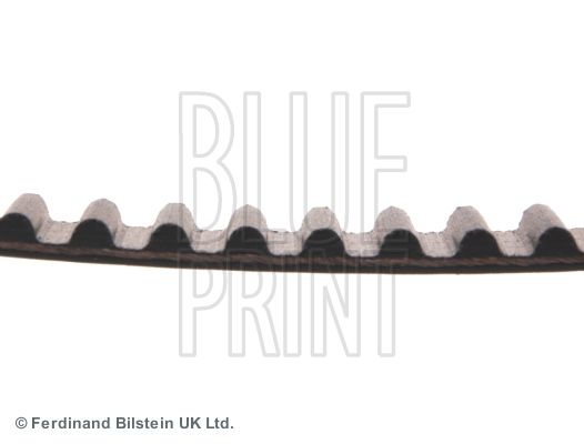 BLUE PRINT ADK87505 Timing Belt