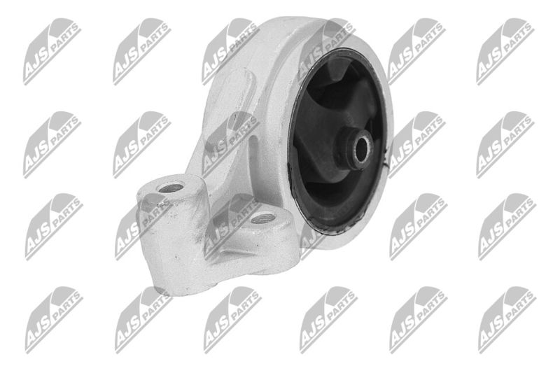 Paigutus, Mootor, NTY ZPS-KA-312