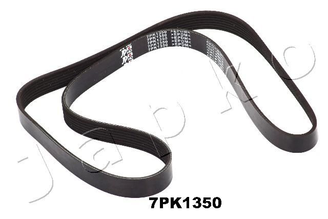 7PK1350_1.JPG