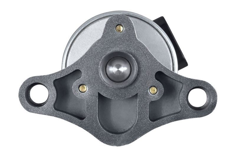 EGR-klapp, HELLA 6NU 010 171-611