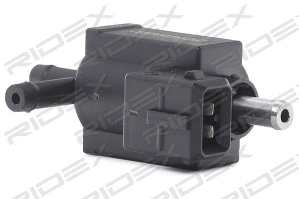 15795043_856.JPG