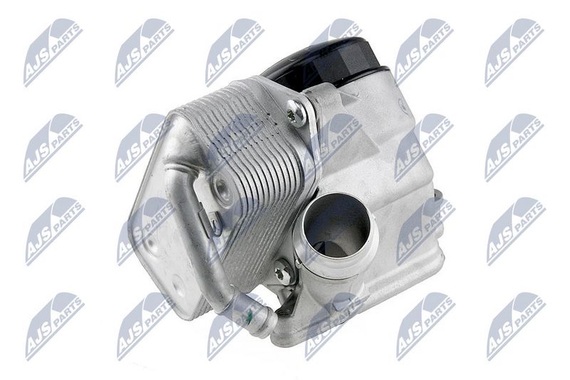 NTY CCL-BM-004 Oil Cooler, engine oil
