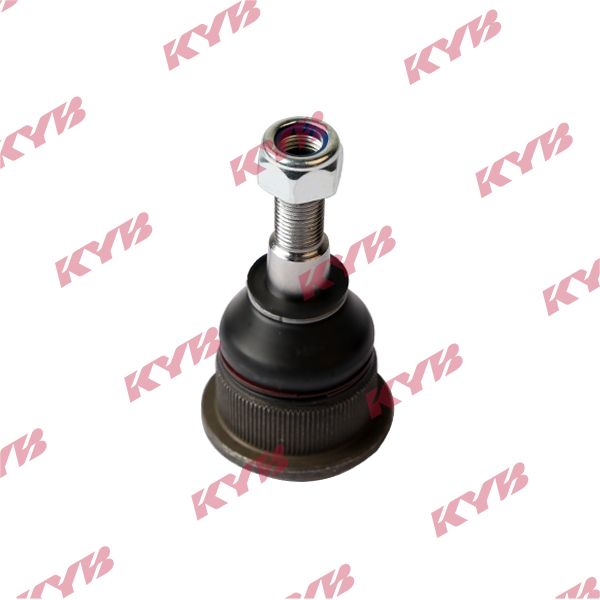 KYB-KBJ4054.JPG