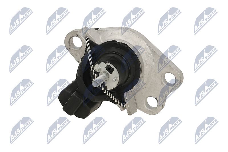 Paigutus, Mootor, NTY ZPS-RE-051