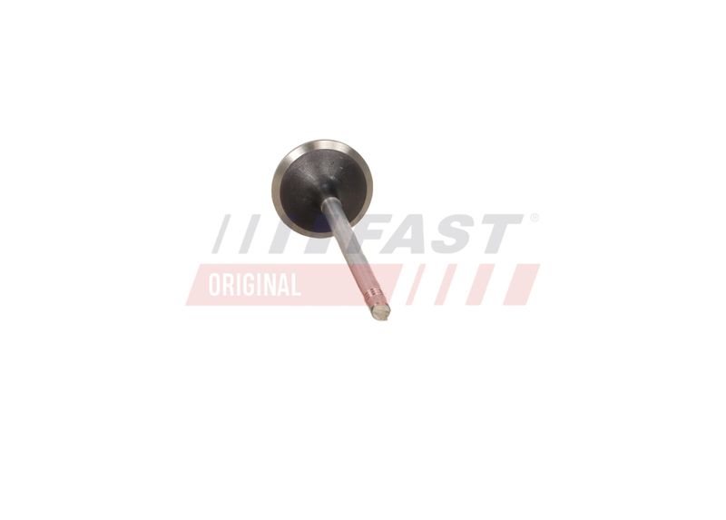 Prekė atitinka OEM kodą: 504238926