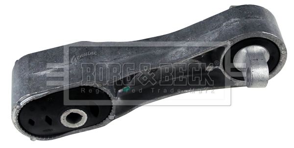 BEM4453_5803233.JPG