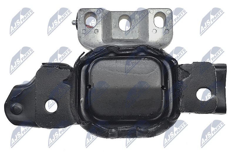 Paigutus, Mootor, NTY ZPS-CH-025