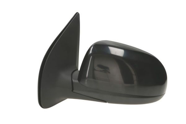 BLIC 5402-20-2001401P Exterior Mirror