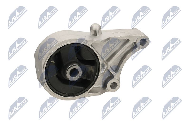 Paigutus, Mootor, NTY ZPS-PL-074