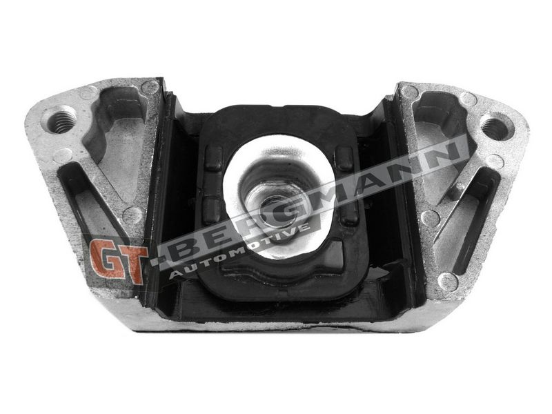 GT-BERGMANN Automotive Montavimas, neautomatinė transmisija