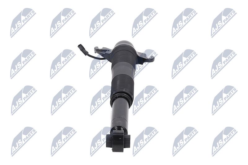 Amort, NTY A-LR-021