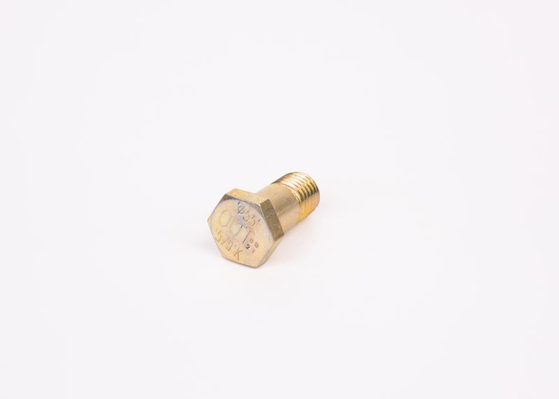 Surub F 002 D13 579 BOSCH