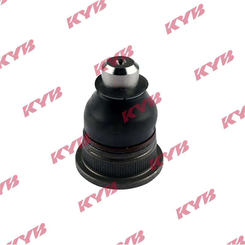 KYB-KBJ4014.JPG