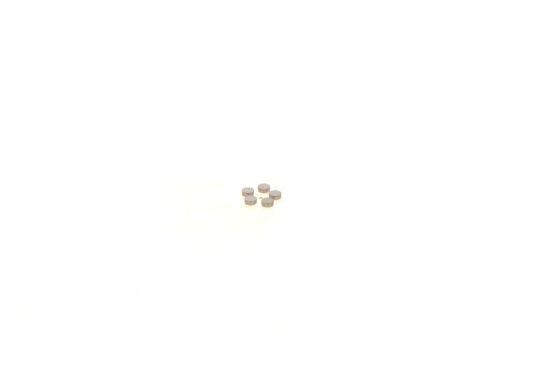 BOSCH 1410067219 Washer