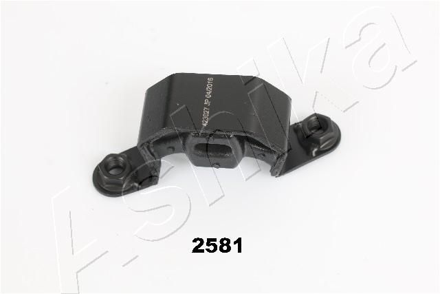 GOM-2581_1.JPG