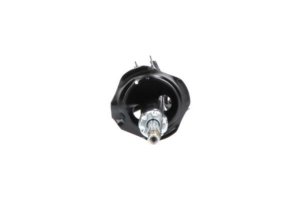 Kavo Parts SSA-6579 Shock Absorber