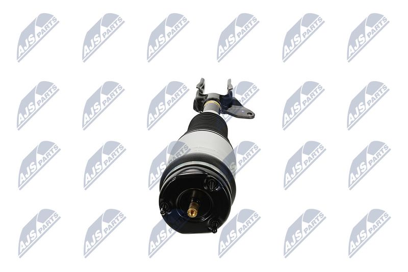 Amort, NTY A-CH-136