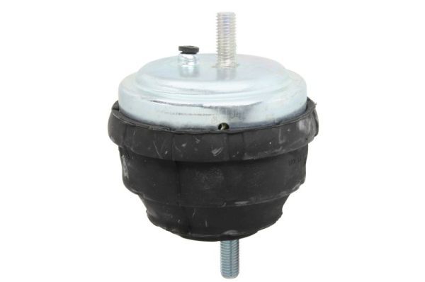 REINHOCH RH11-3002 Mounting, engine