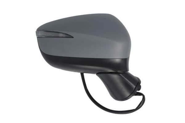 BLIC 5402-14-0770317P Exterior Mirror