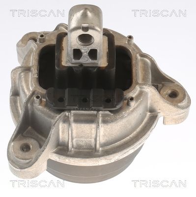 TRISCAN felfüggesztés, motor 8505 11118