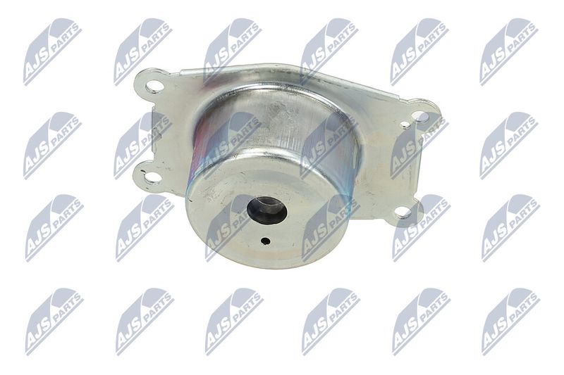 Paigutus, Mootor, NTY ZPS-PL-044