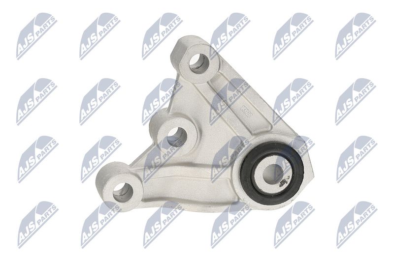 Paigutus, Mootor, NTY ZPS-CH-121