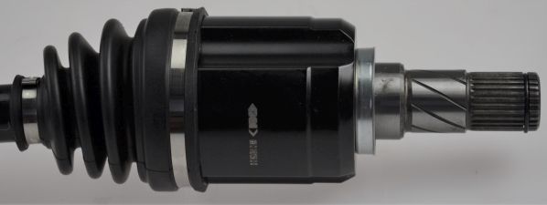 GKND12556C.JPG