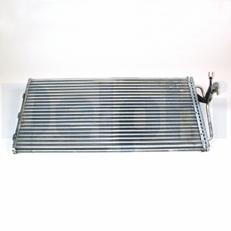 CF1175.JPG