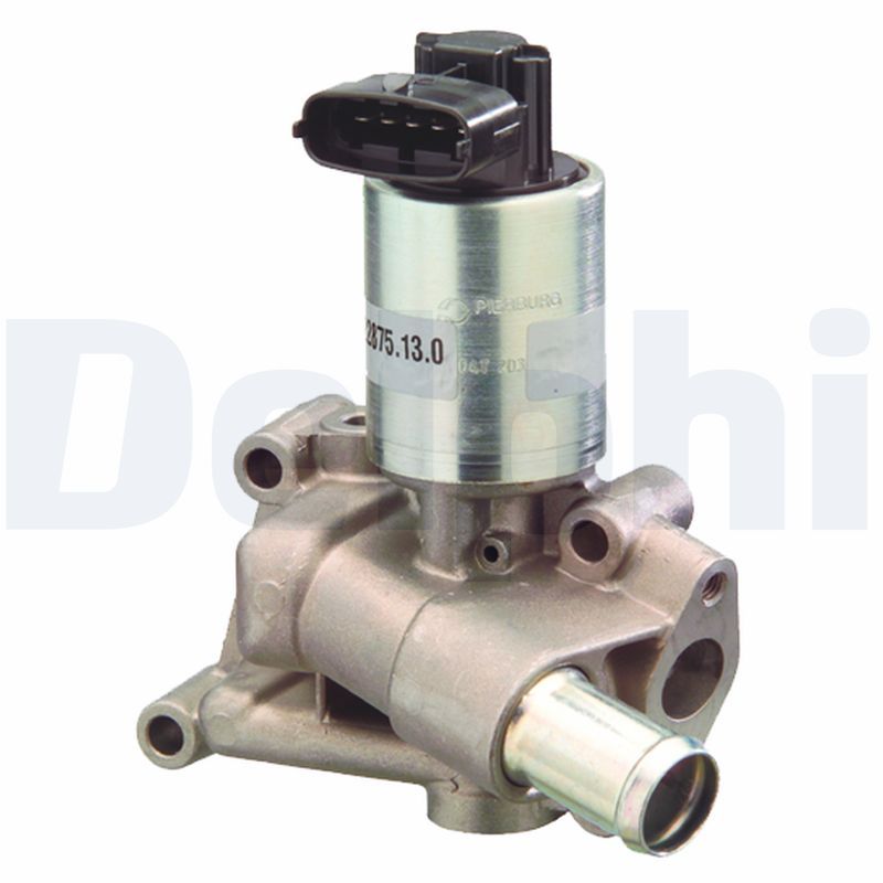 Delphi EGR Valve EG10300-12B1