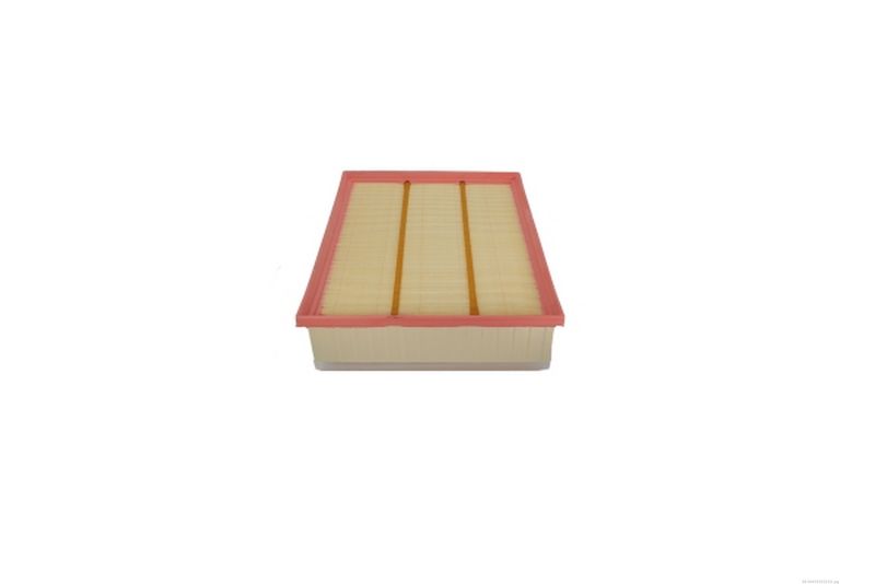 AUTOMEGA 246765010 Oro filtras