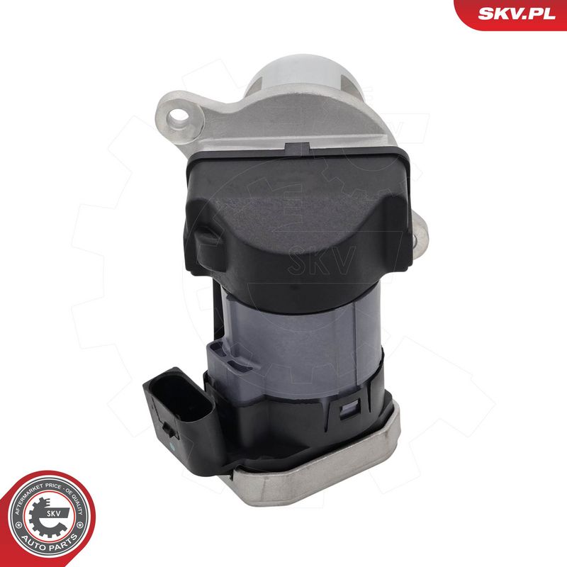 EGR-klapp, ESEN SKV 14SKV306