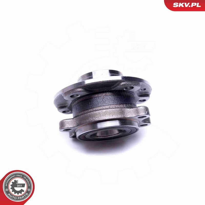 ESEN SKV 29SKV402 Wheel Bearing Kit