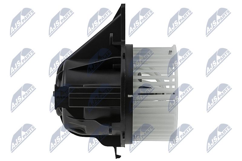 Salongipuhur, NTY EWN-WW-020