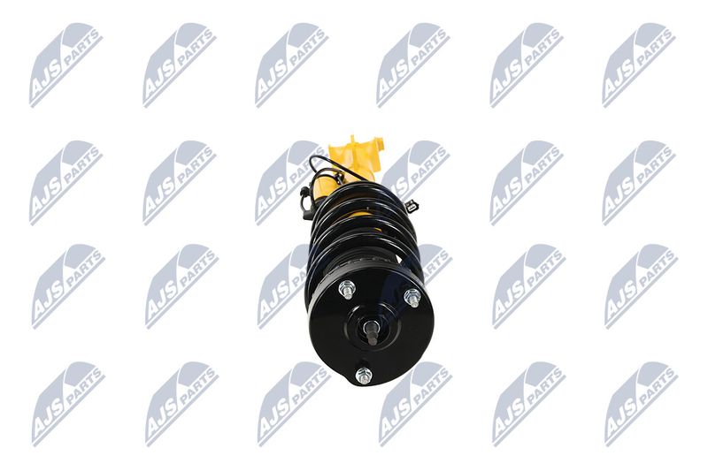 Amort, NTY A-CH-122