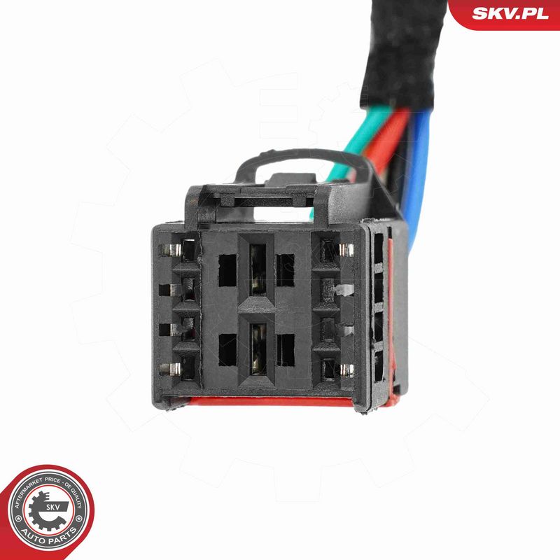 ESEN SKV 52SKV248 Electric Motor, tailgate