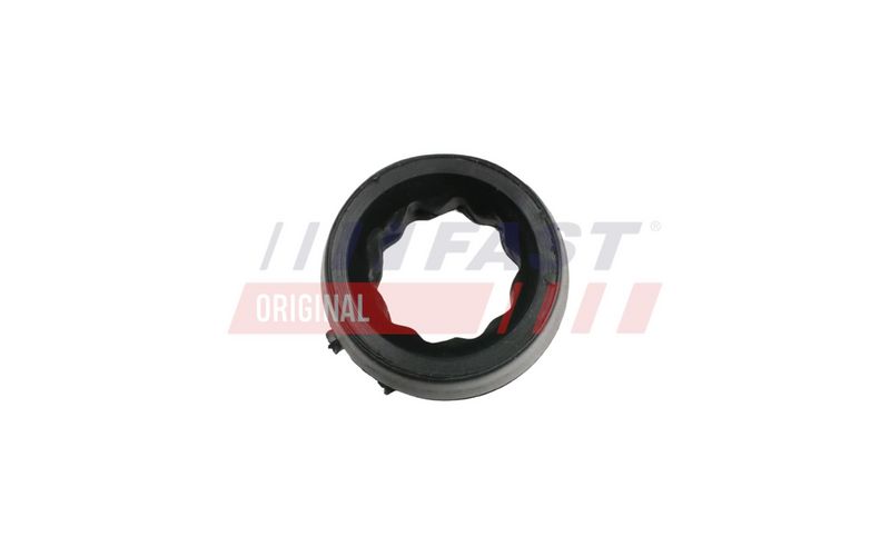 FAST FT13053 Oro filtro dėžės guma
