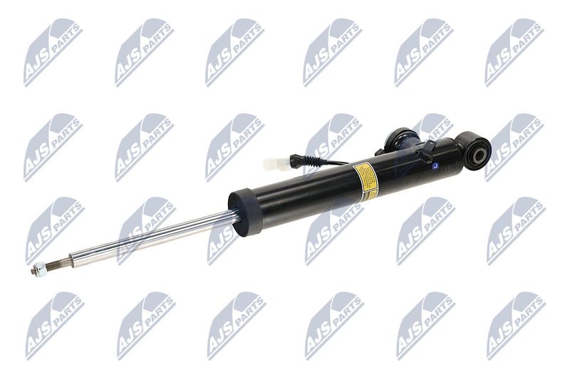 Amort, NTY A-PL-065