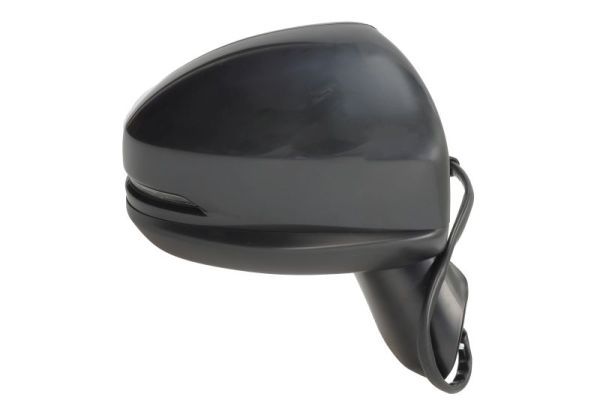 BLIC 5402-12-0499313P Exterior Mirror