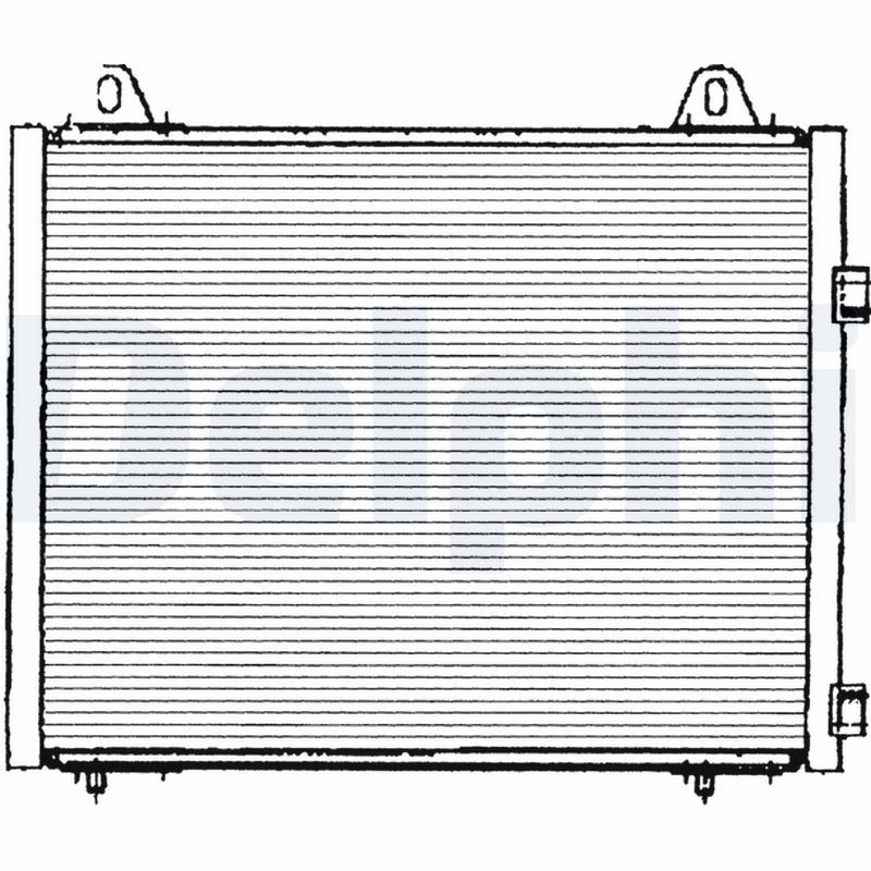 TSP0225222.JPG
