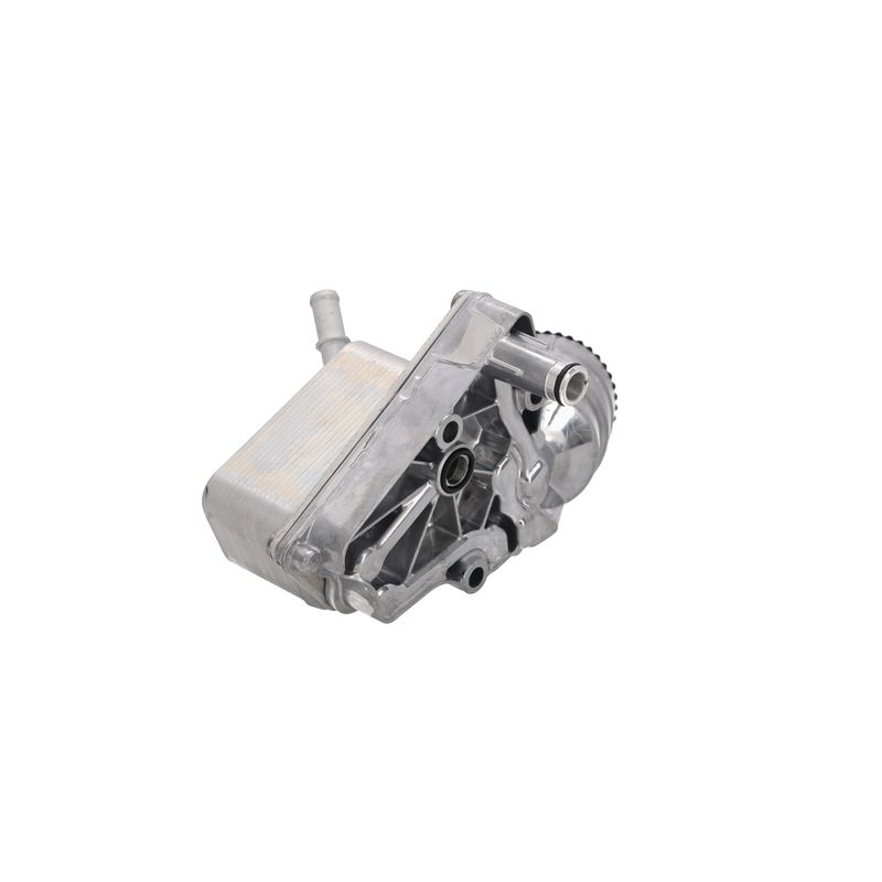 Image 21