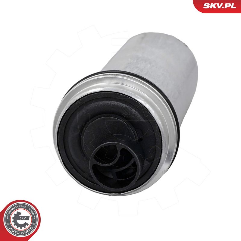 Kütusepump, ESEN SKV 02SKV253