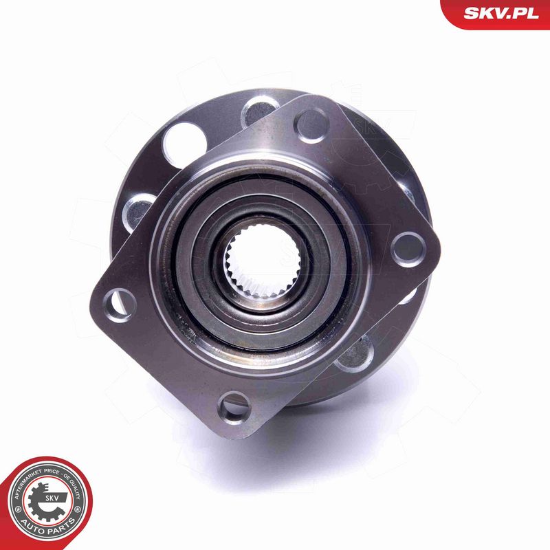 ESEN SKV 29SKV490 Wheel Bearing Kit