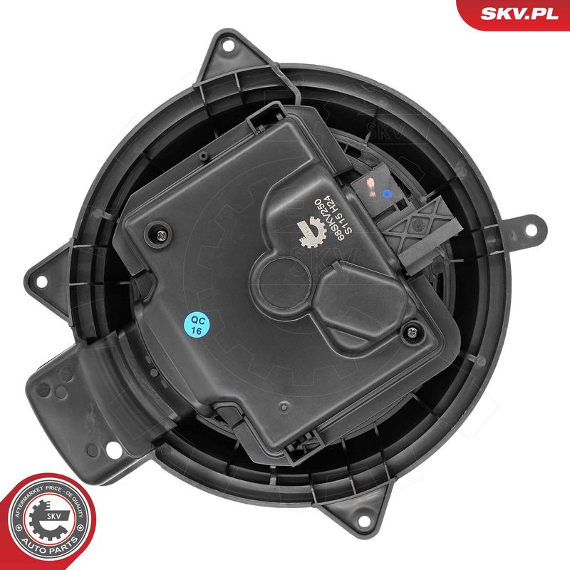 Salongipuhur, ESEN SKV...