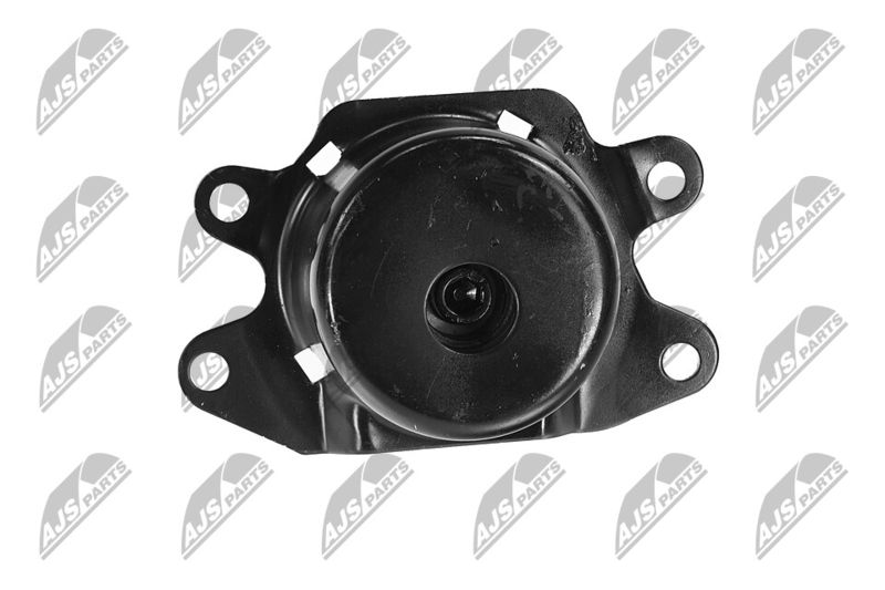 Paigutus, Mootor, NTY ZPS-PL-053