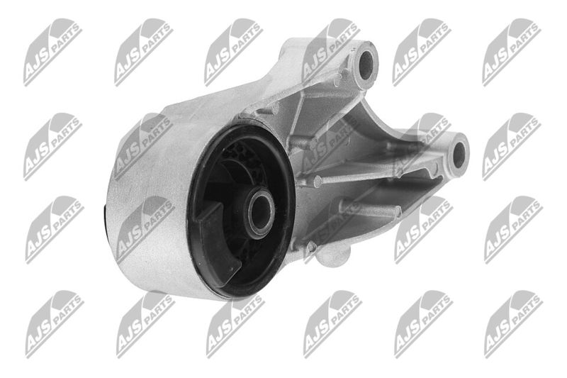 Paigutus, Mootor, NTY ZPS-PL-069