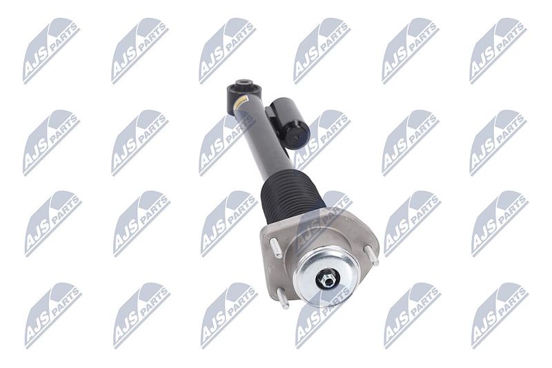 Amort, NTY A-LR-019